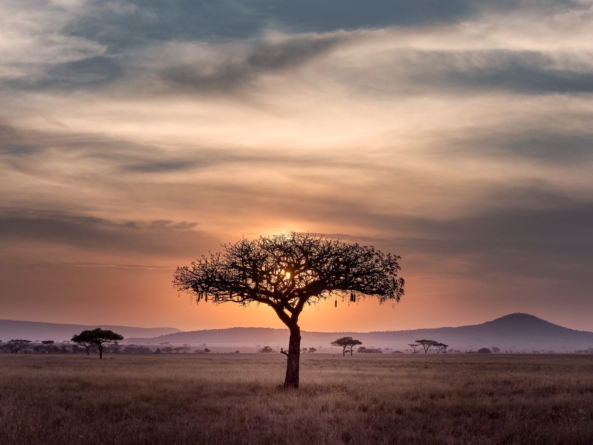 Discover the Lush Beauty of Tanzania